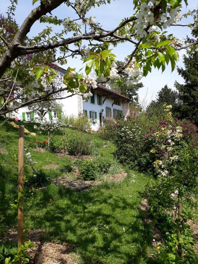 Chez Cathy Bed and Breakfast Arzier Eksteriør billede